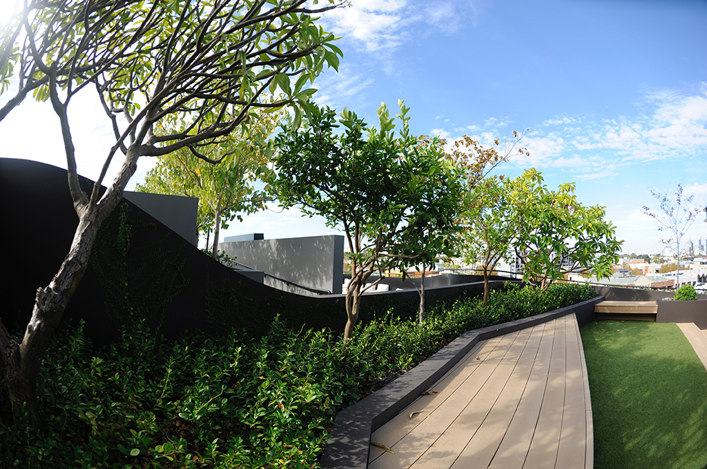 The rooftop landscape at Botanical Apartments