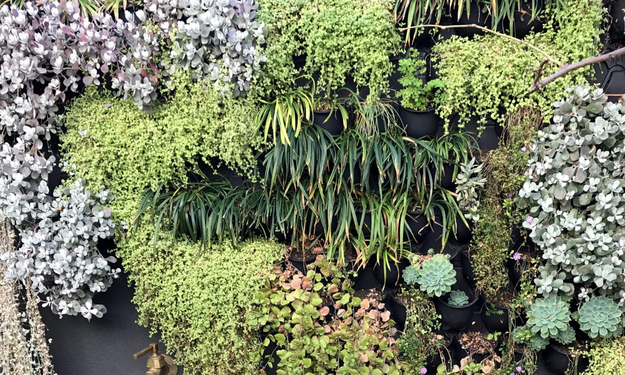 a detail photo of a mixed planting in a vertical garden