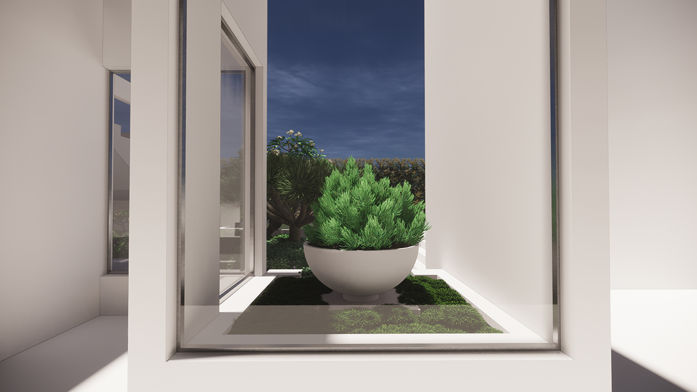 a view from inside the home onto a large feature planter