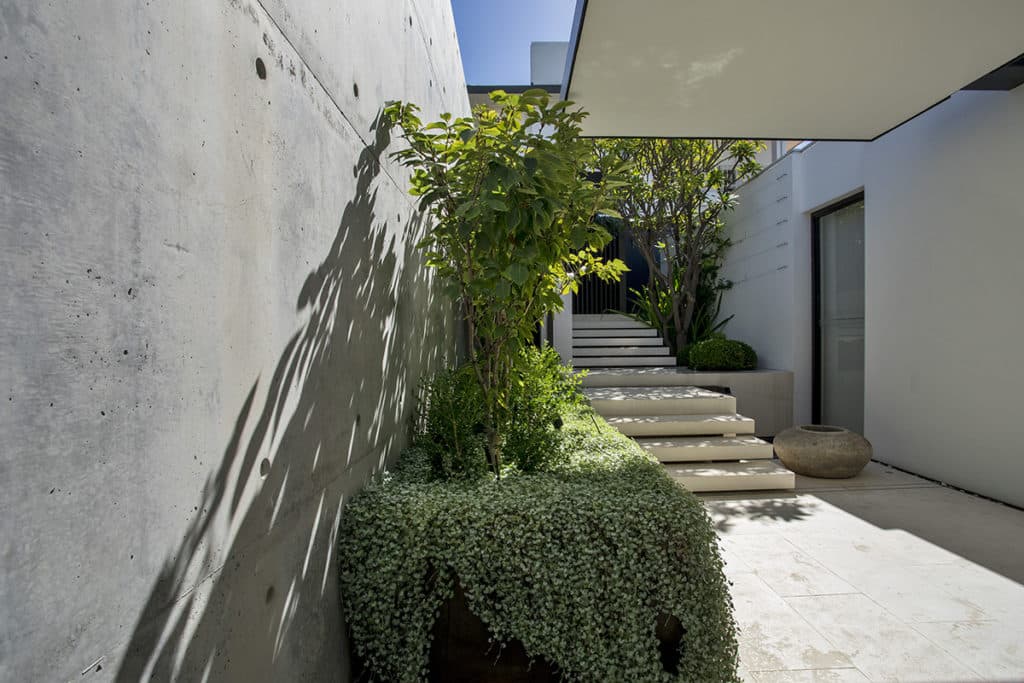 Floating concrete stairs next to a layered planting.